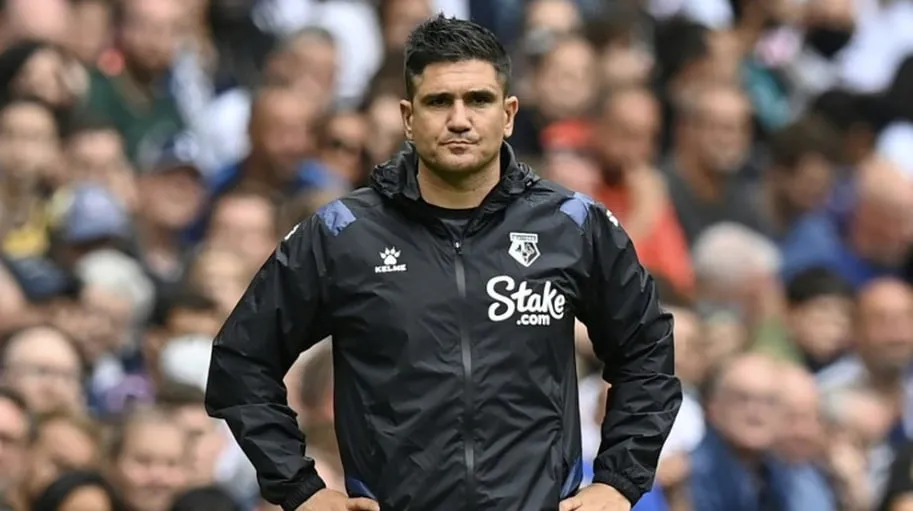The Bittersweet Taste of Premier League Promotion